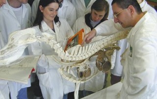 vetmeduni1