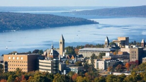 Cornell University