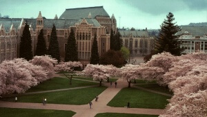 university of washington