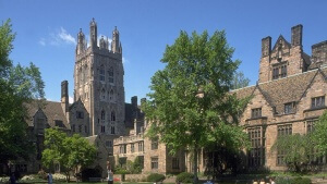 yale university