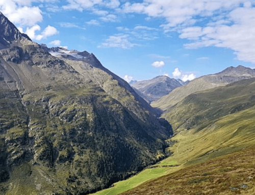 Schlechtes Timing: Klimakrise gefährdet alpine Ökosysteme