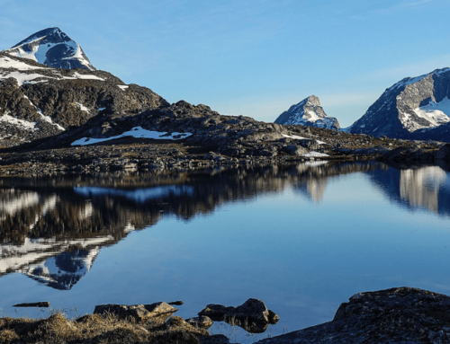 Dunkle Wasser: Forscher:innen berechnen Folgen der Erwärmung von Grönlands Seen