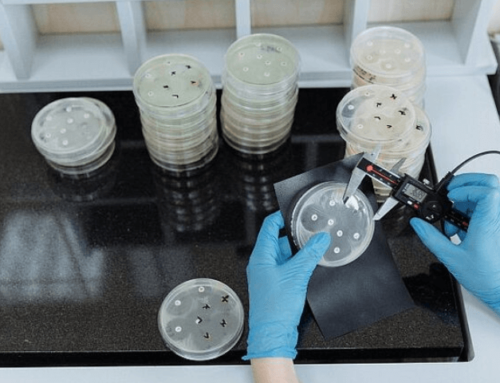 Neue Hoffnung im Kampf gegen Superbakterien: Vielversprechender Antibiotikumkandidat entdeckt