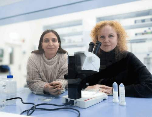 Kosmetika in der Umwelt: Wissenschaftler:innen belegen Gefahr für Ameisen