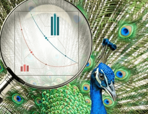 Verhaltensbiologie: Neue Theorie zur Tierkommunikation