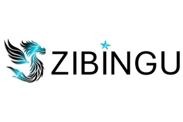 ZIBINGU UG (haftungsbeschränkt)