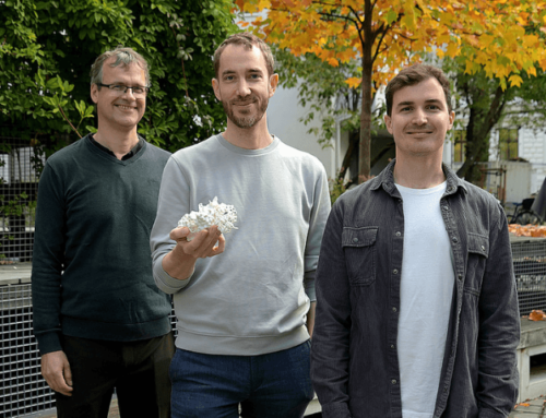 Neue Enzyme als Bio-Katalysatoren für Pharmaindustrie entdeckt: KI unterstützt Forschende